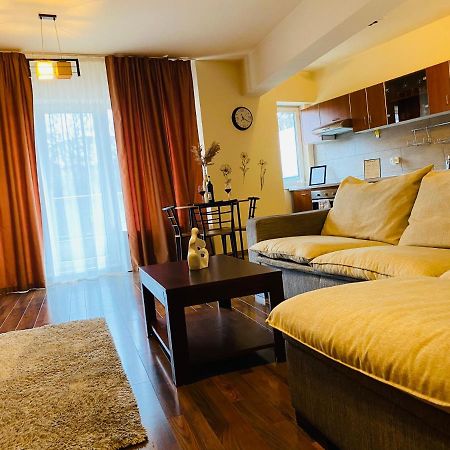 Eclipse Apartment Free Parking Cluj Napoca Bagian luar foto