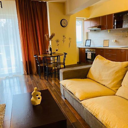 Eclipse Apartment Free Parking Cluj Napoca Bagian luar foto