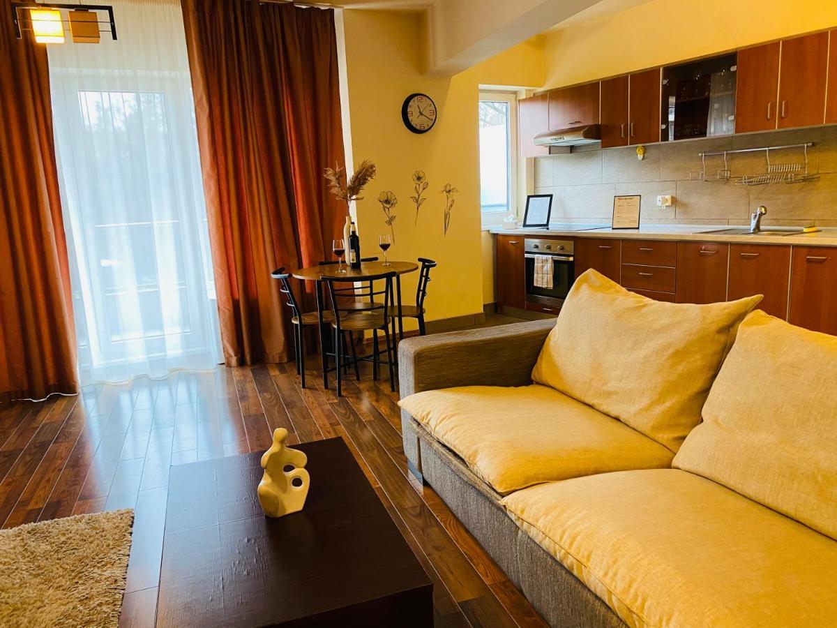 Eclipse Apartment Free Parking Cluj Napoca Bagian luar foto